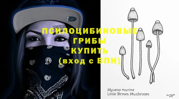 ГАЛЛЮЦИНОГЕННЫЕ ГРИБЫ Рославль