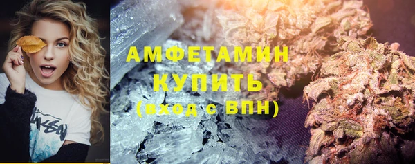 ГАЛЛЮЦИНОГЕННЫЕ ГРИБЫ Рославль