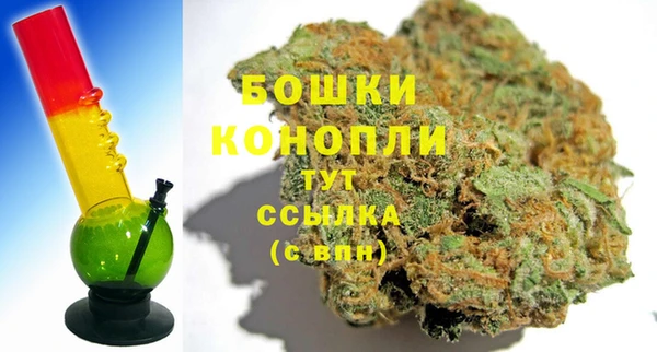 ГАЛЛЮЦИНОГЕННЫЕ ГРИБЫ Рославль