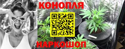 ГАЛЛЮЦИНОГЕННЫЕ ГРИБЫ Заводоуковск