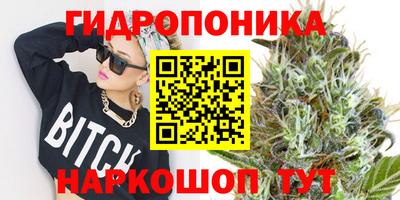 ГАЛЛЮЦИНОГЕННЫЕ ГРИБЫ Заводоуковск