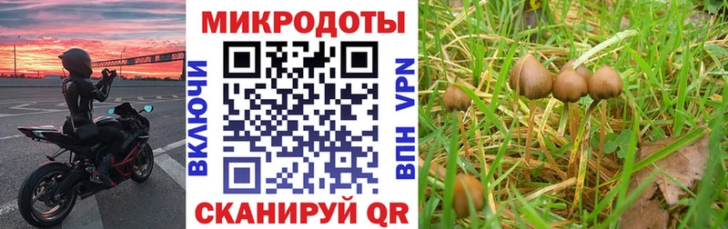 Галлюциногенные грибы Psilocybine cubensis  где можно купить   KRAKEN ТОР  Мурино 