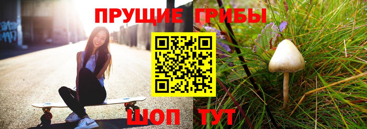 цена наркотик  Галлюциногенные грибы Cubensis  Вход с VPN  Мурино 